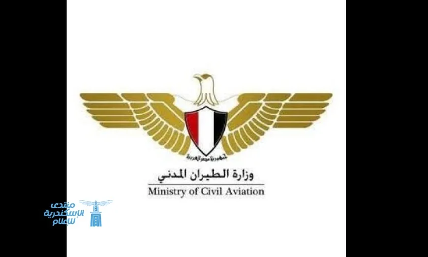 إلغاء كارت الجوازات الورقي للركاب المصريين من قبل وزارة الطيران المدني ابتداء من 11 أبريل