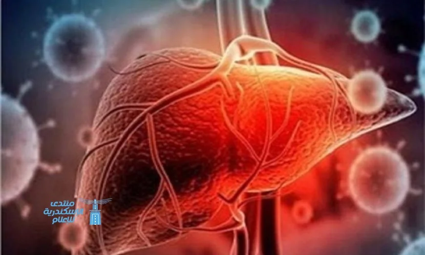 ابتكار برمجيات ثورية للتنبؤ بأورام الكبد وتحسين تشخيص المرض