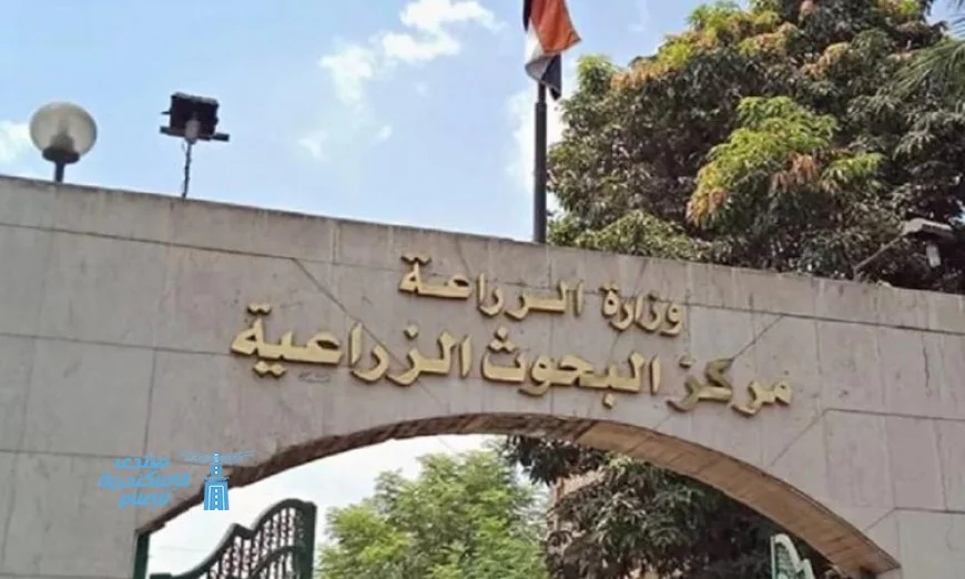 تحليل 111 ألف عينة غذائية في الربع الأول من 2026 يعكس جهود وزارة الزراعة لتعزيز سلامة الغذاء