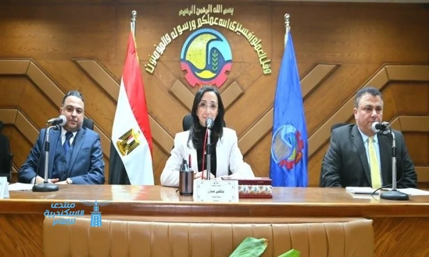 محافظ البحيرة يدعو لتحسين كفاءة المشروعات الخدمية وزيادة مواردها الاقتصادية