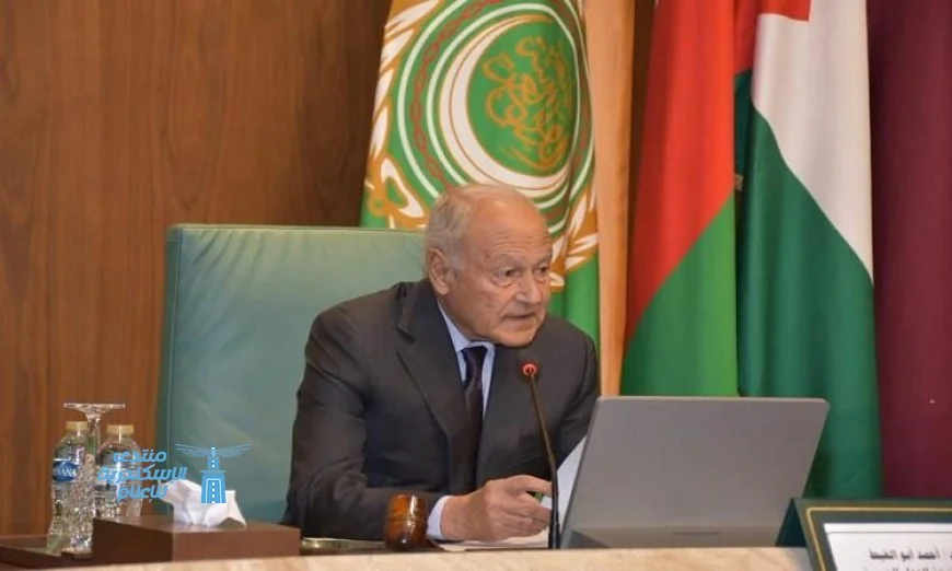 أبو الغيط يعبر عن أسفه لعرقلة قرار مجلس الأمن بشأن حرية الملاحة في مضيق هرمز