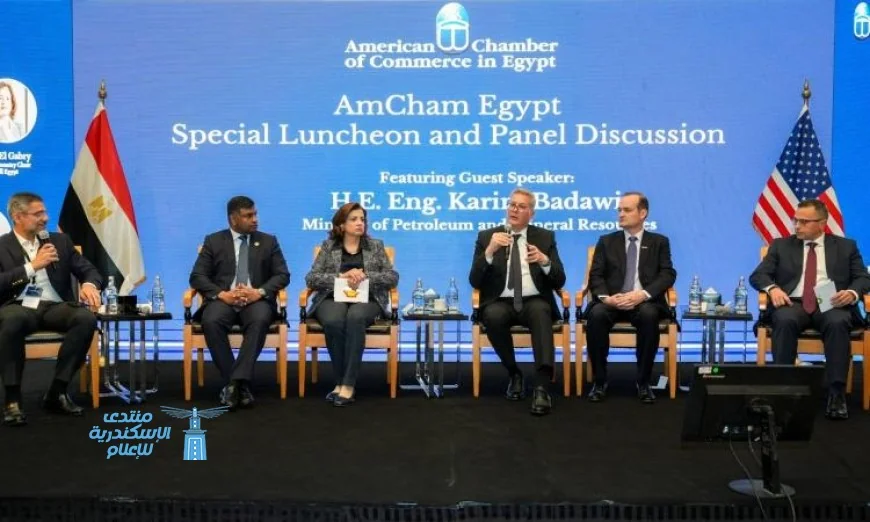 بدوي يؤكد أن المحفزات أدت إلى إنعاش استثمارات الغاز والبترول في البحث والإنتاج