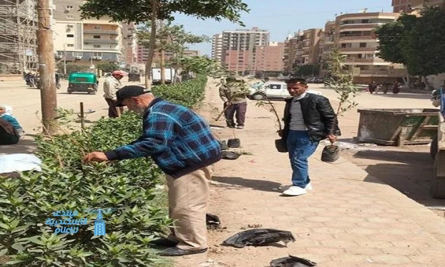 زراعة 210 شتلات متنوعة في مطاي وبني مزار بالمنيا لتعزيز التنوع البيئي