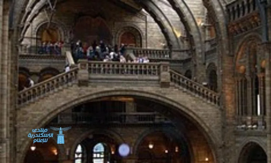 اكتشاف قلادة سن فقمة يكشف أسرار حياة البشر في بريطانيا قبل 15 ألف عام