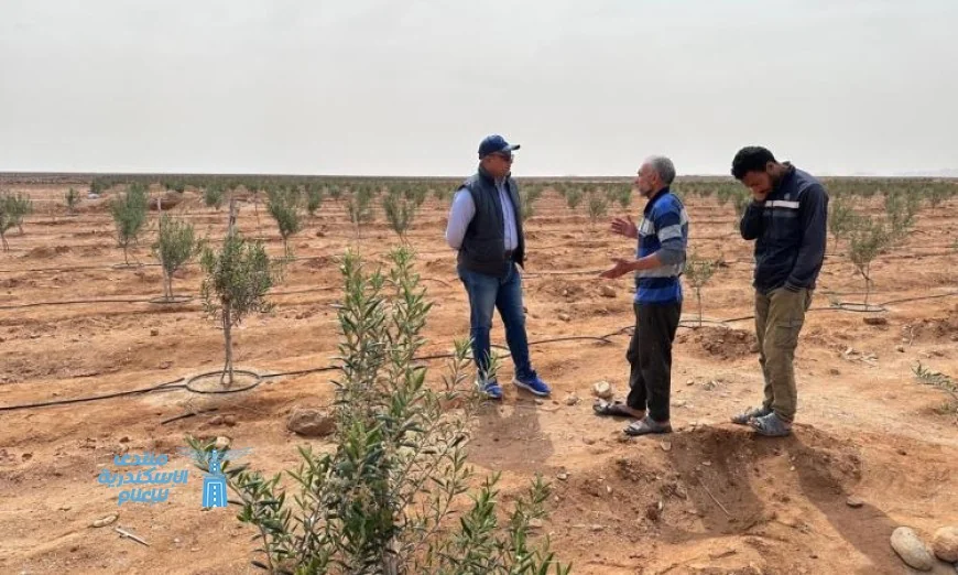 مركز بحوث الصحراء في وزارة الزراعة يرصد المحاصيل الاستراتيجية في سيناء قبل موسم الحصاد