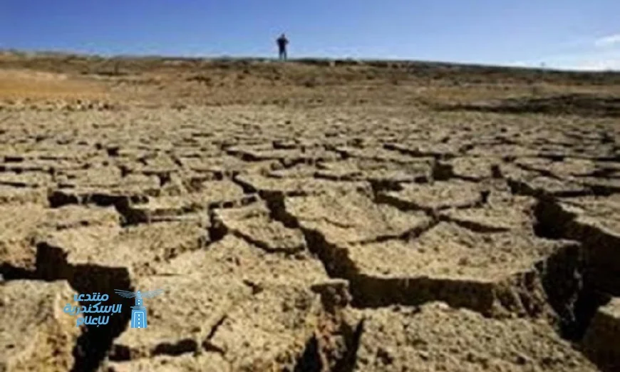 دراسة جديدة تكشف كيف يعزز الجفاف مقاومة البكتيريا للمضادات الحيوية بشكل متسارع