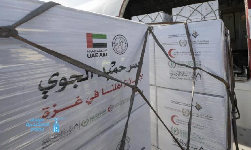 صور وصول طائرة مساعدات إماراتية إلى العريش محملة بـ100 طن لدعم غزة