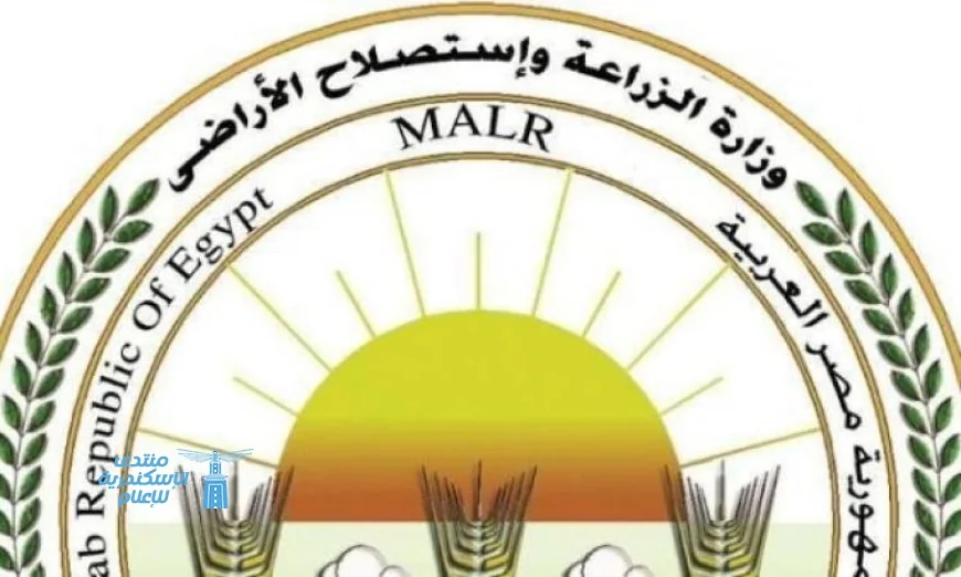 الزراعة تعزز جهودها الرقابية على أسواق الأسماك المملحة لضمان الجودة والسلامة