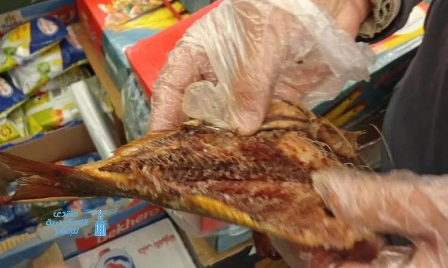 الزراعة تكشف عن ضبط 71 طن من الأسماك المملحة الفاسدة قبل احتفالات شم النسيم