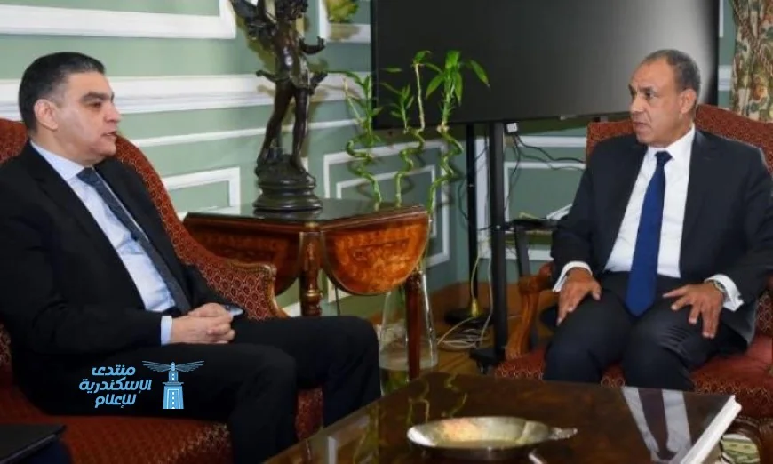 وزير الخارجية يعلن أن قطاع الدواء يمثل أساس تعزيز التعاون مع الدول الإفريقية