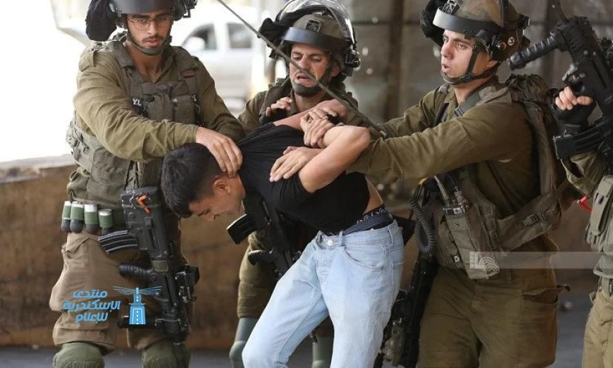 قوات الاحتلال تواصل اعتقال 28 فلسطينيا في مختلف مدن ومحافظات الضفة الغربية