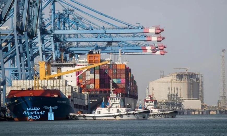 زيادة حركة التجارة بميناء دمياط مع تداول 27 سفينة حاويات وبضائع عامة