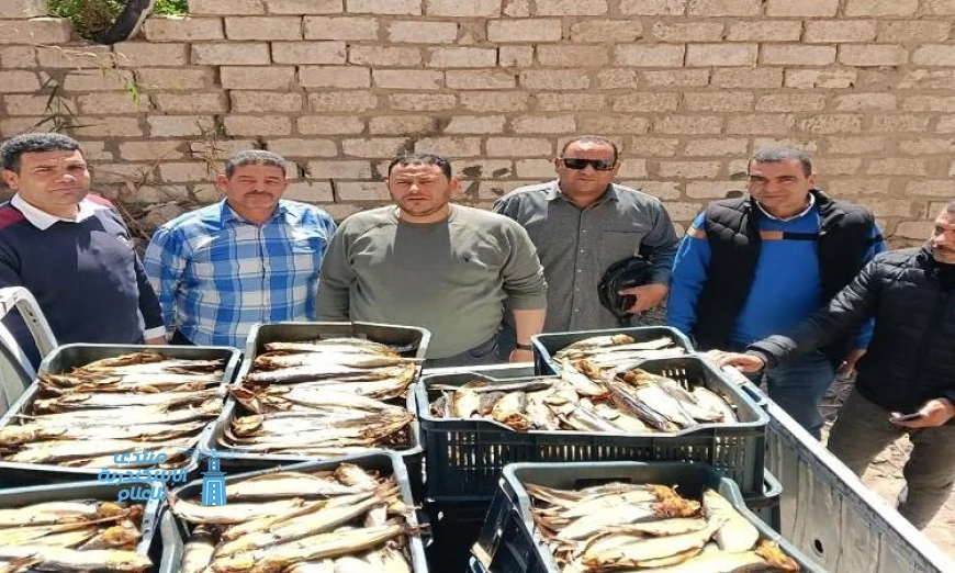 حملات رقابة مكثفة من بيطري البحيرة لضمان سلامة الأسواق ومحلات بيع الأسماك