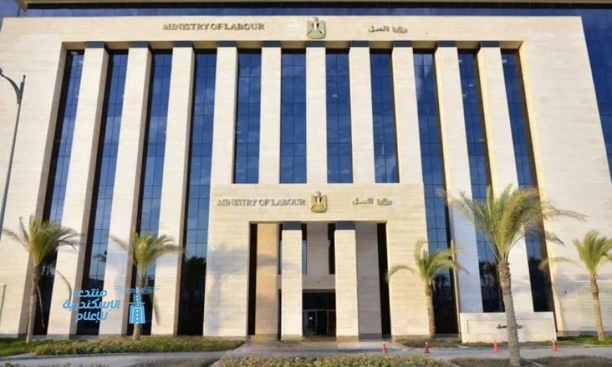 العمل تكشف عن إجراء تفتيش على 59 ألف منشأة تضم 743 ألف عامل خلال 90 يومًا