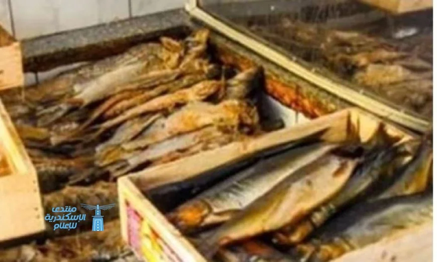إحباط تهريب 14 طن من الأسماك المدخنة والمملحة المجهولة المصدر في القاهرة والدقهلية والغربية