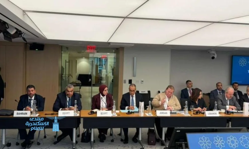 وزير الخارجية يبرز صلابة الاقتصاد المصري نتيجة الإصلاحات الهيكلية المستمرة