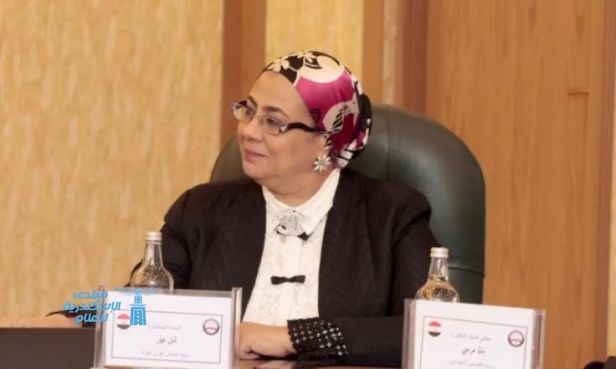 أمل عمار تؤكد أن الغرف الصديقة للطفل تمثل ثورة في مسار العدالة في مصر