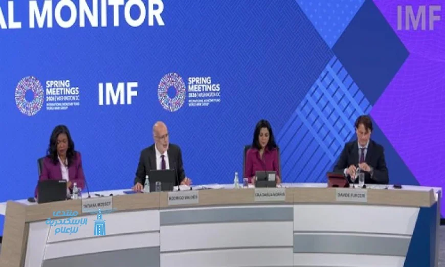 صندوق النقد الدولي يحذر من أن الدعم الشامل للطاقة يسبب تشوهات في السوق العالمية ويكلف الأعباء المالية العالية