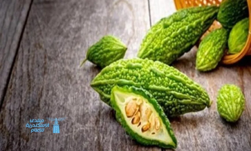 فوائد القرع المر في الوقاية من السكري والأورام الصحية