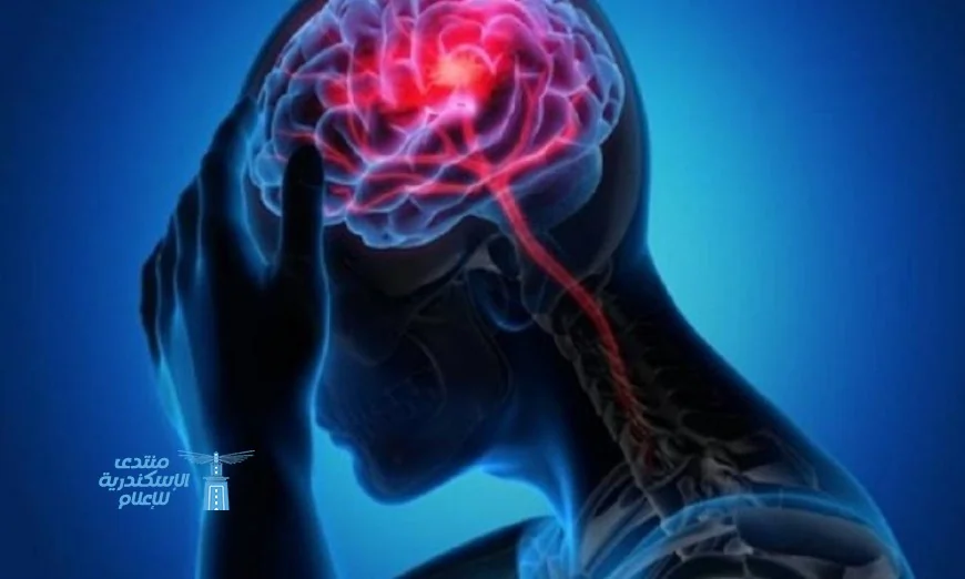 تأثير التوتر المالي على الدماغ وكيف يؤثر على صحتك العقلية