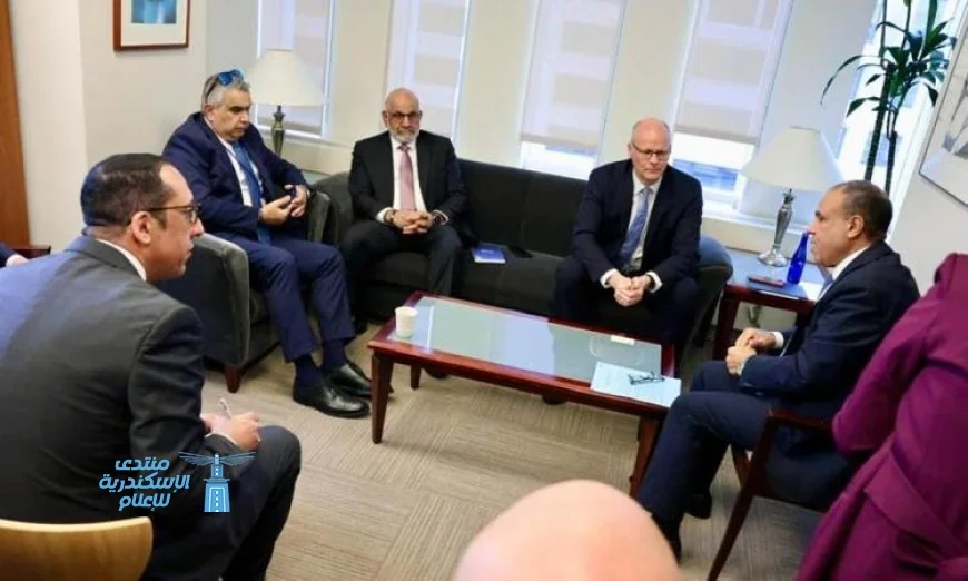 وزير الخارجية المصري ي reaffirm ثوابت الموقف المصري تجاه القضية الفلسطينية