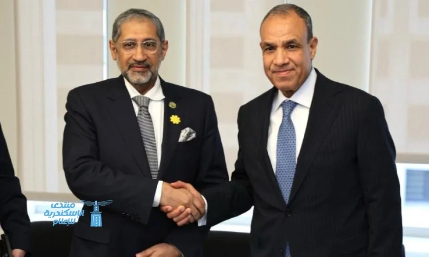 وزير الخارجية يجتمع مع رئيس المصرف العربي للتنمية الاقتصادية في أفريقيا لتعزيز التعاون الاقتصادي