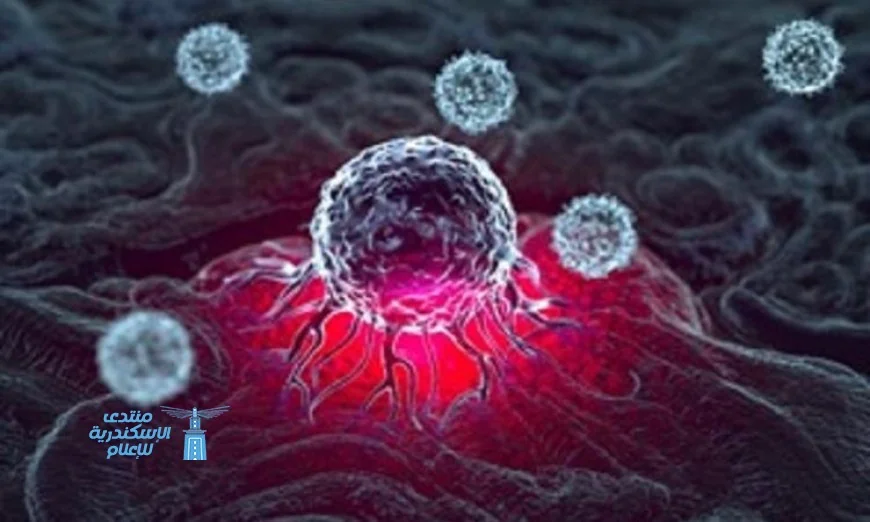 دراسة تكشف عن زيادة خطر الوفاة لدى النساء بسبب الالتهابات