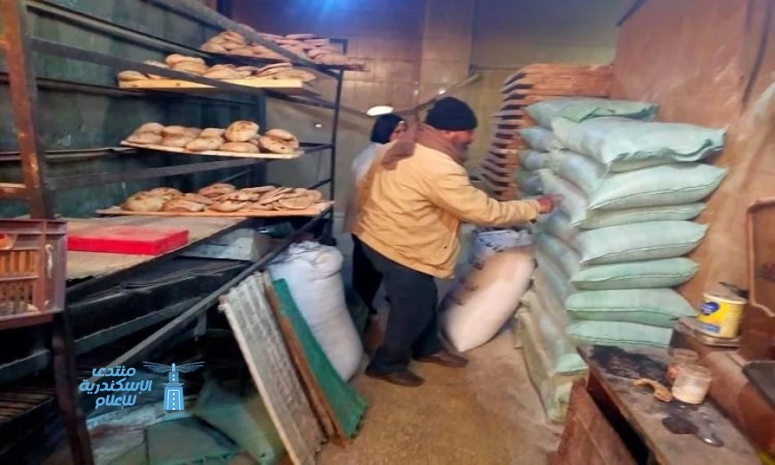 إدارة التموين بالباجور والشهداء تتخذ إجراءات صارمة بتحرير 13 محضر مخالفة لمخابز غاشّة