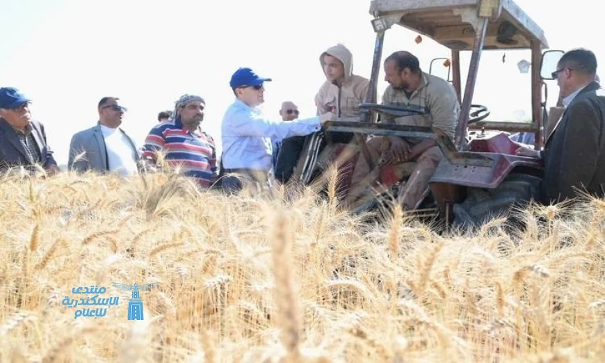 محافظ الغربية يبدأ موسم حصاد القمح في مركز زفتى بفعالية مميزة