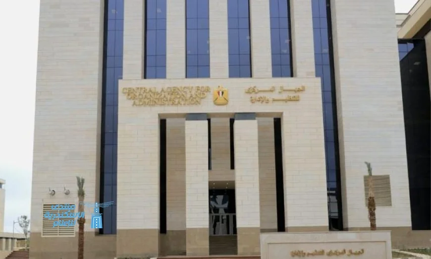 فتح باب التقديم لـ25 وظيفة سائق في هيئة المتحف المصري الكبير من قبل التنظيم والإدارة