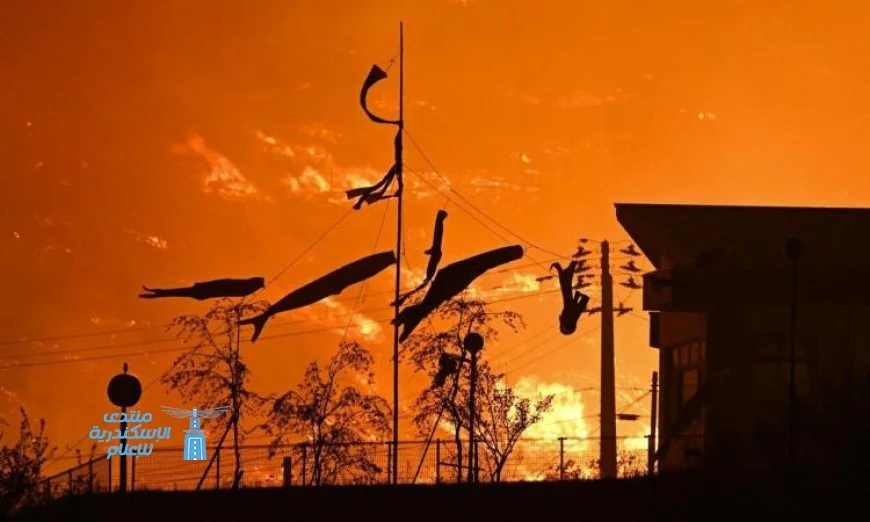 مخاوف من حرائق الغابات تطالب بإجلاء أكثر من ألف شخص في شمال شرق اليابان