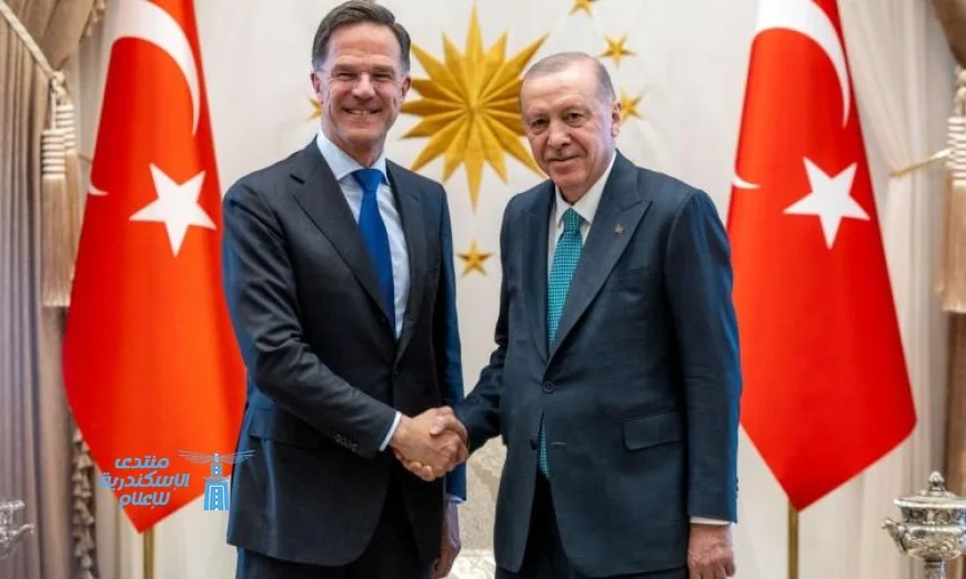 رئيس وزراء هولندا روته يتناول استعدادات قمة الناتو ويثني على الدور الحيوي لتركيا في الدفاع