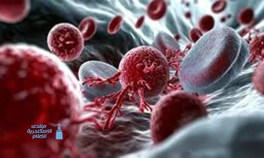 اختبار دم مبتكر يكشف عن خطر الإصابة بألزهايمر قبل ظهور الأعراض بعYears