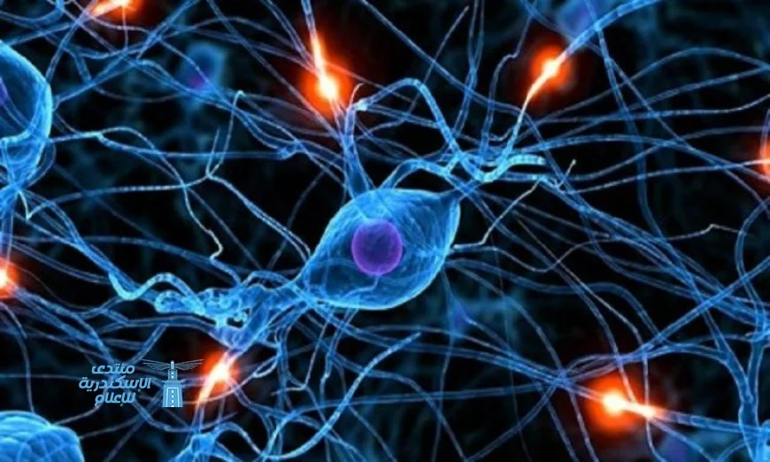 ابتكار خلايا عصبية اصطناعية تعزز نشاط الدماغ البشري بشكل مباشر