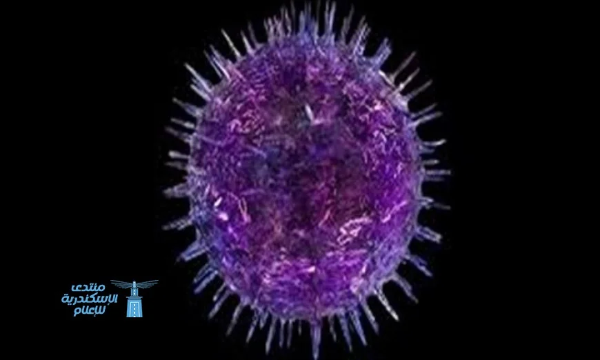 تطوير أجسام مضادة فعالة لوقف فيروس السرطان الذي يصيب 95% من البشر