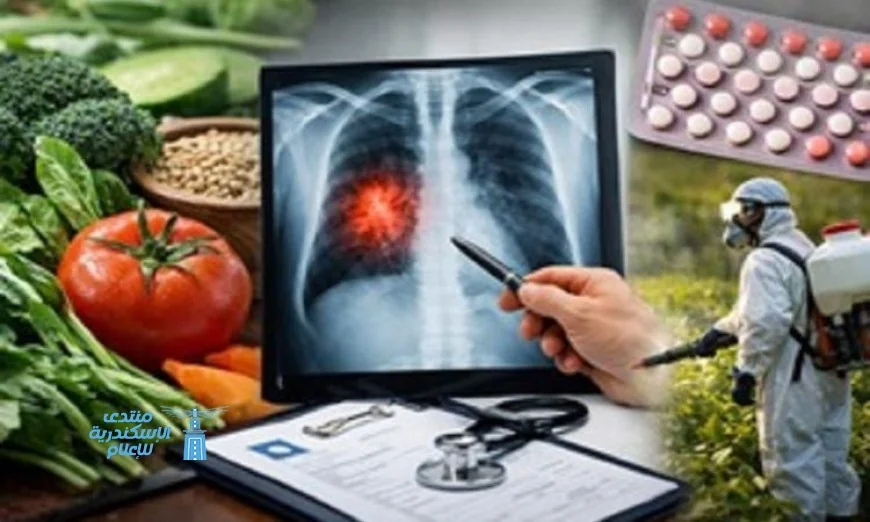 دراسة تكشف العلاقة بين أنظمة الغذاء الصحي وزيادة مخاطر سرطان الرئة لدى غير المدخنين