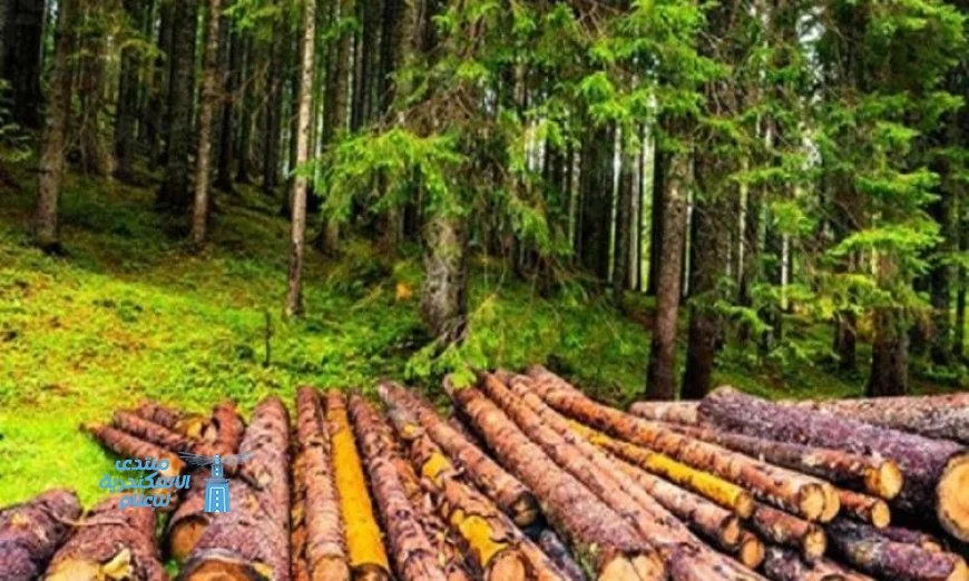 الأرض تتخلف عن تلبية احتياجات البشر من الموارد الطبيعية