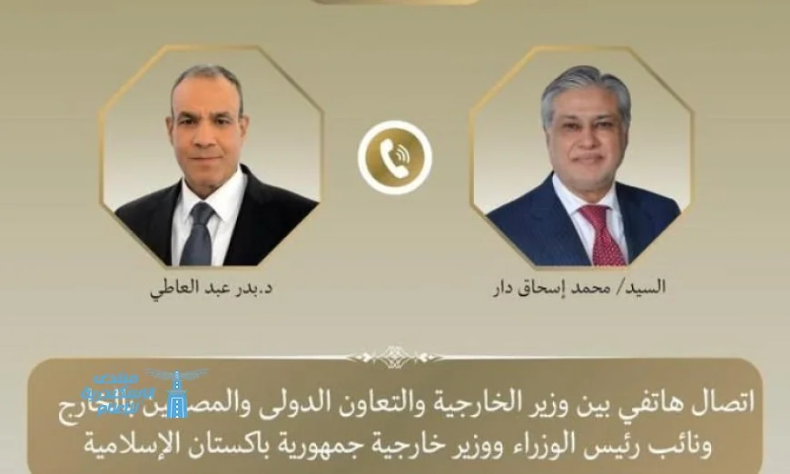وزير الخارجية يتباحث مع نظيره الباكستاني حول تطورات المفاوضات الأمريكية الإيرانية