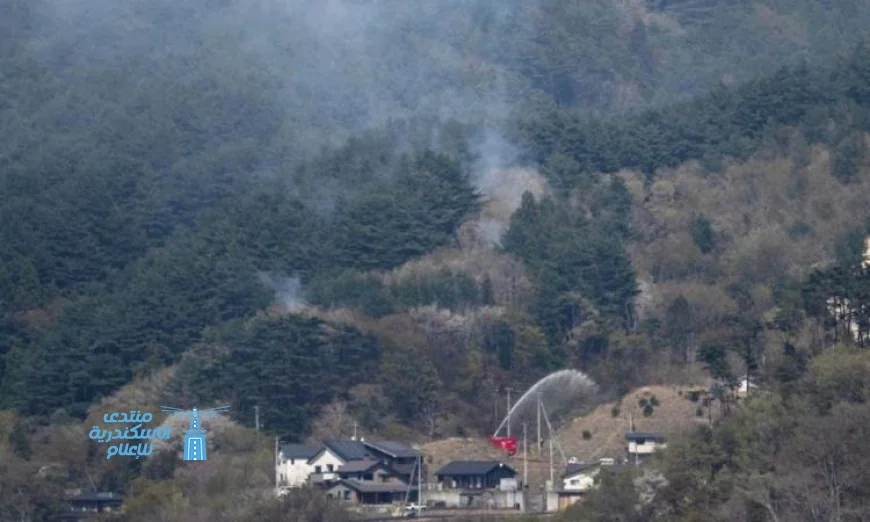 إجلاء حوالي 3000 شخص مع استمرار حرائق الغابات في اليابان لليوم الرابع على التوالي