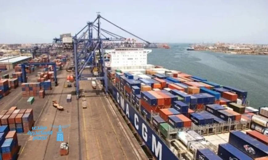 تداول 25 سفينة حاويات وبضائع متنوعة في ميناء دمياط اليوم