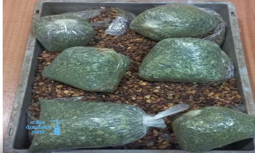 جمارك مطار القاهرة تضبط راكبًا يحمل 3.5 كيلو من مخدر القات