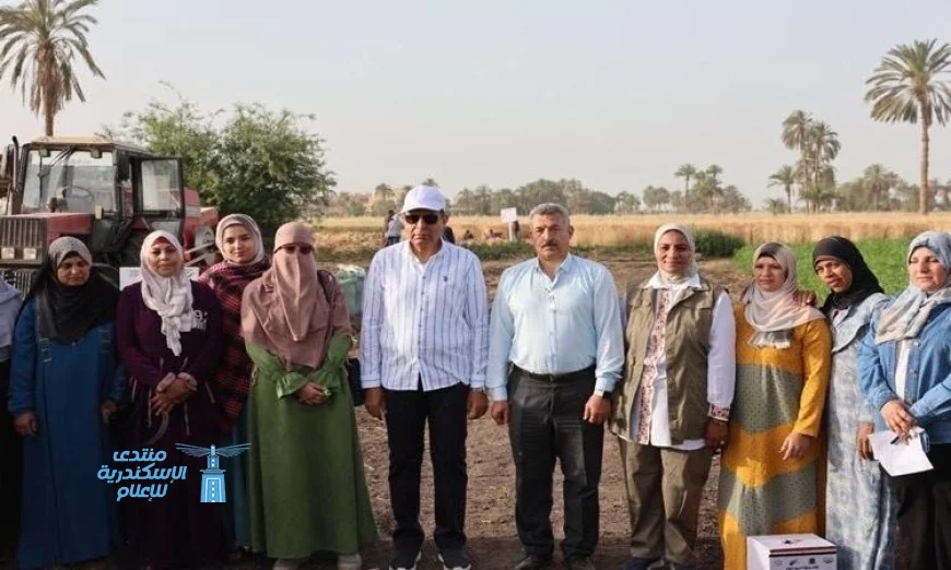 محافظ المنيا يتشارك مع المزارعين في حصاد القمح بمركز سمالوط وأهمية القمح في تعزيز الأمن القومي