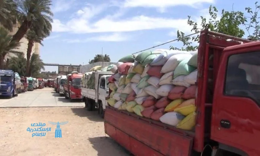 محافظ سوهاج يعلن عن توريد أكثر من 20 ألف طن من القمح وضمان صرف مستحقات المزارعين