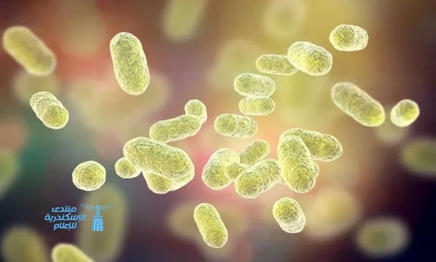 الجرافين ثورة في مكافحة البكتيريا الخطيرة مع حماية الخلايا البشرية