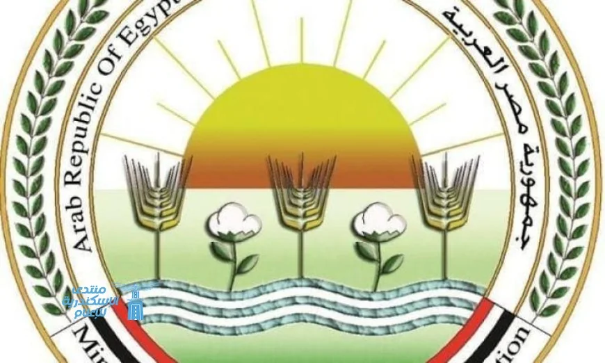 غدا وزارة الزراعة تبدأ حملة ضخمة لتحصين الماشية ضد الحمى القلاعية والوادي المتصدع