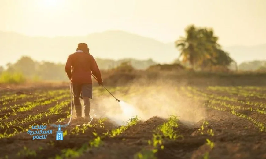 تحذير من وزارة الزراعة بشأن تداول كتب مزيفة ترتبط بلجنة مبيدات الآفات الزراعية